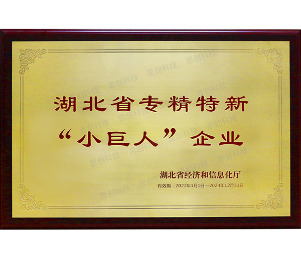 湖北省專(zhuān)精特新“小巨人”企業(yè)